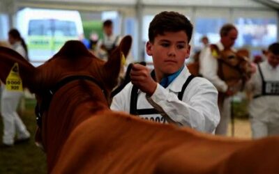 Le Grand Marché de Louhans et la Fête du Lait