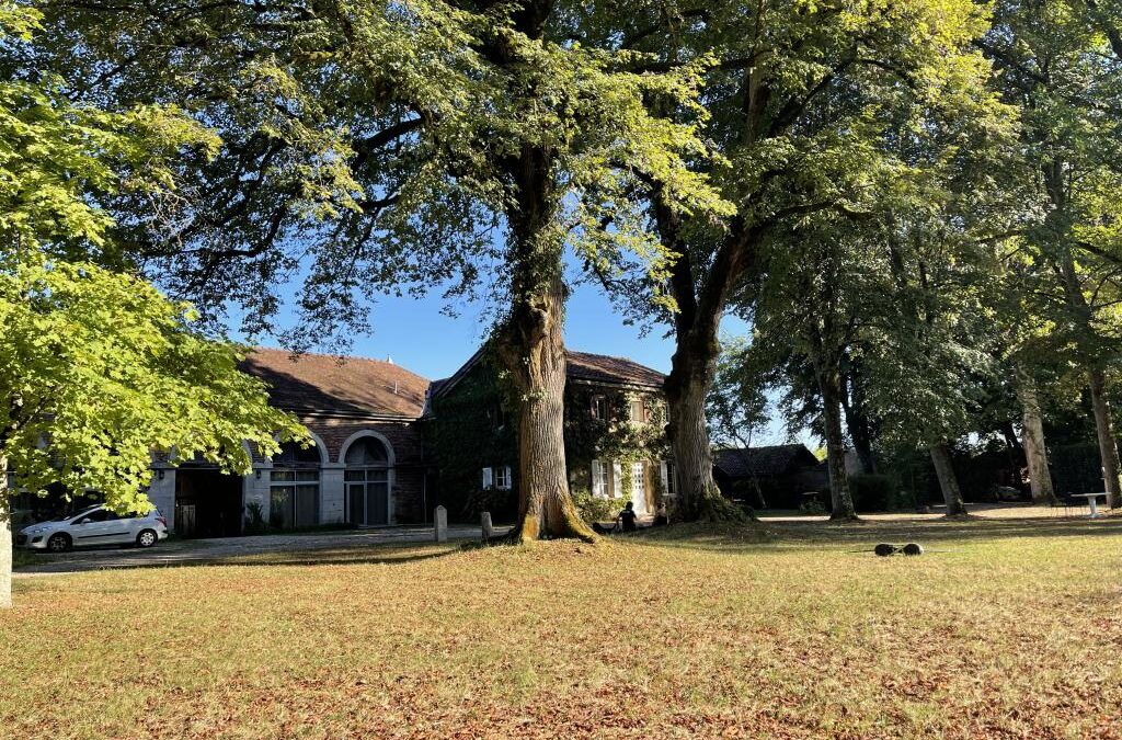 Le domaine des Éveils à Bruailles : un écrin de nature ouvre ses portes au bien-être et à la créativité locale