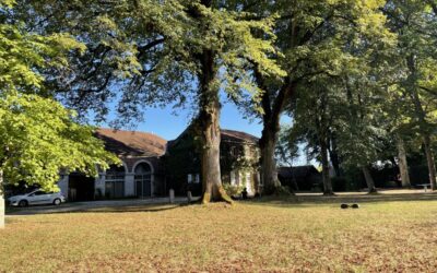 Le domaine des Éveils à Bruailles : un écrin de nature ouvre ses portes au bien-être et à la créativité locale