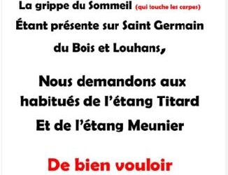 Quiétude troublée en Bresse : la “grippe du sommeil” des carpes met les étangs en alerte