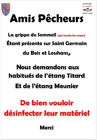 Quiétude troublée en Bresse : la “grippe du sommeil” des carpes met les étangs en alerte
