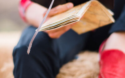 COLLÈGE DU BOIS DES DAMES : UN NOUVEAU SOUFFLE POUR LE LIEN ENTRE LES FAMILLES ET L’ÉCOLE