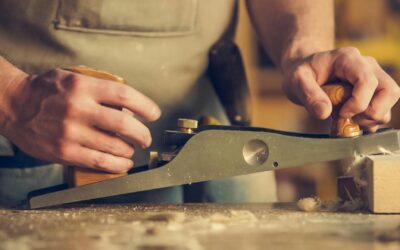 Saint-Germain-du-Bois : Le réveil de la sève