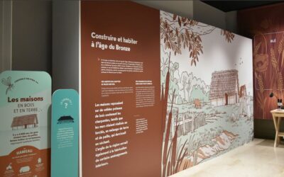 Sous les étangs de Bresse, le temps suspendu : une journée pour lire le sol comme un livre