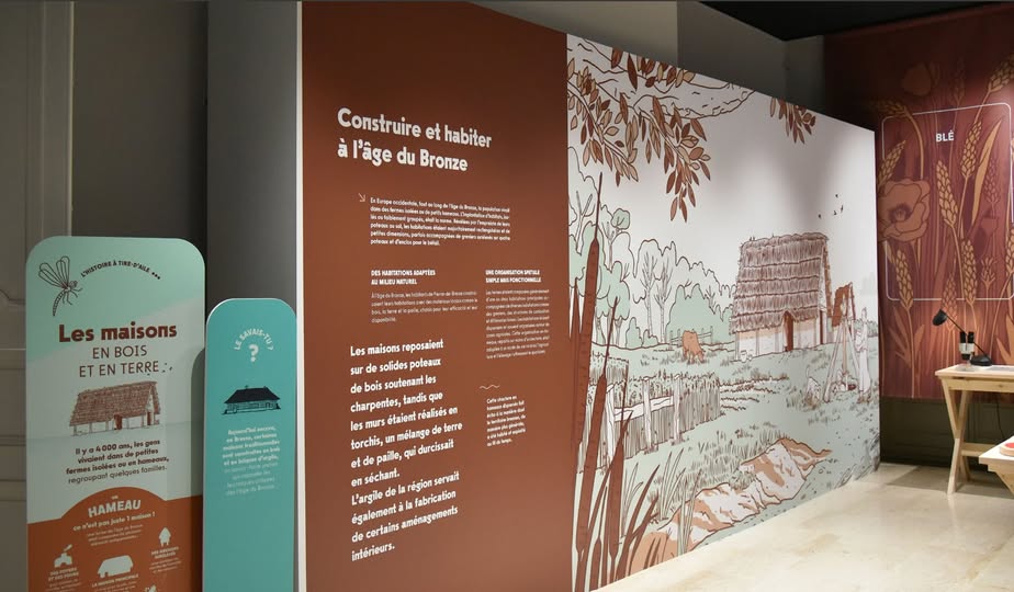 Sous les étangs de Bresse, le temps suspendu : une journée pour lire le sol comme un livre