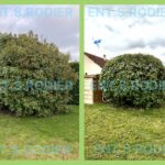 ENT.S.RODIER – Élagage, abattage et entretien d’espaces verts