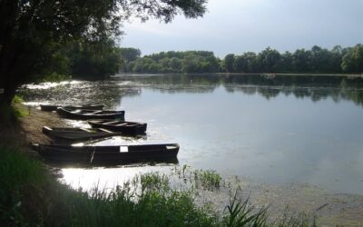 Tourisme en Bourgogne-Franche-Comté : le grand écart de 2025