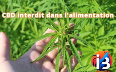 CBD interdit dans l’alimentation : « une décision qui n’a absolument aucun sens »