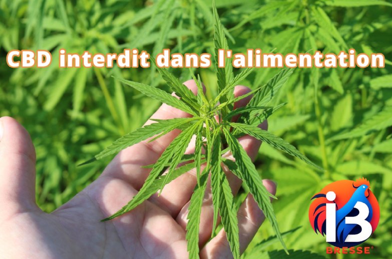 CBD interdit dans l’alimentation : « une décision qui n’a absolument aucun sens »