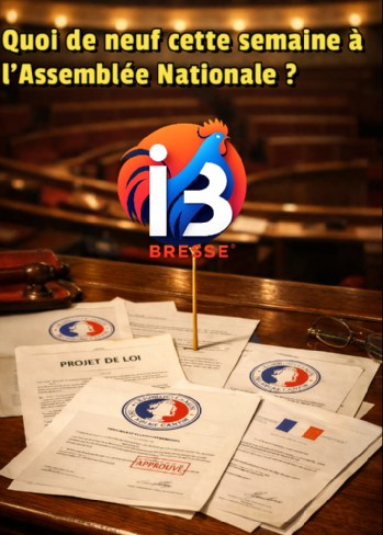 Quoi de neuf cette semaine à l’Assemblée Nationale ?