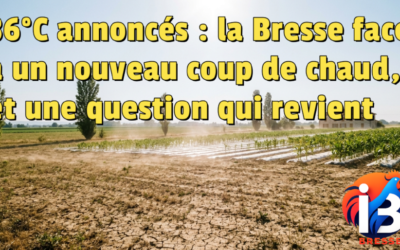 36 °C annoncés : la Bresse face à un nouveau coup de chaud, et une question qui revient