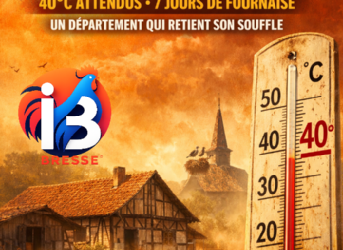Canicule en Bresse : 40 °C attendus, sept jours de fournaise, et un département qui retient son souffle