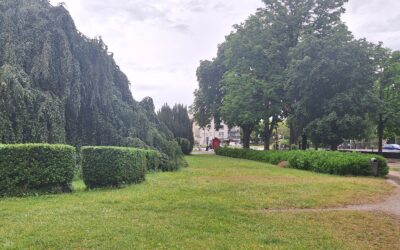 Lons-le-Saunier : embauches ou réorganisation, la nouvelle majorité s’explique
