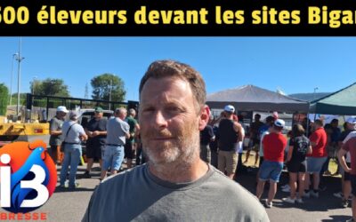 1500 éleveurs devant les sites Bigard : « On a mis deux ans à monter les prix, deux mois pour tout perdre »