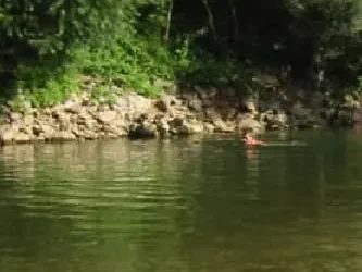 La Loue interdite de baignade : un tueur invisible qui menace aussi les rivières de Bresse