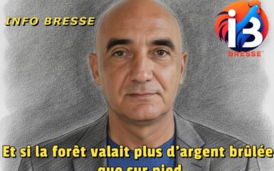 Et si la forêt valait plus d’argent brûlée que sur pied