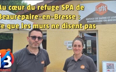 Au cœur du refuge SPA de Beaurepaire-en-Bresse : ce que les murs ne disent pas