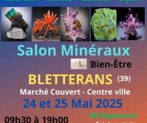 Bletterans : le Salon Passion Minéraux, une invitation à explorer les trésors de la Terre