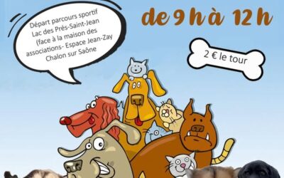 Marche solidaire au profit du refuge Ernest l’Henry – Châtenoy-le-Royal