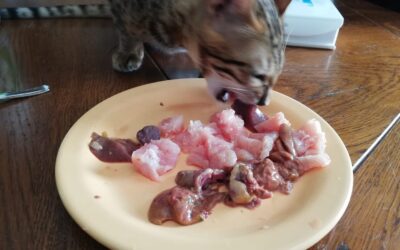 Offrez le Meilleur à Vos Carnivores : Avec le Groupe Facebook  BARF Commandes Groupées DPT 71-39