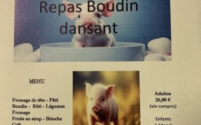 Repas Dansant à Sornay
